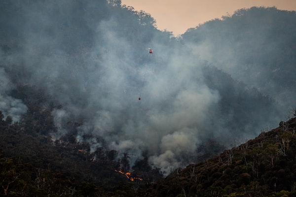 Climate Change Impacts on Biodiversity