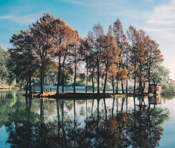 The Green Guardians: Embracing the Vital Role of Trees in Our Lives
