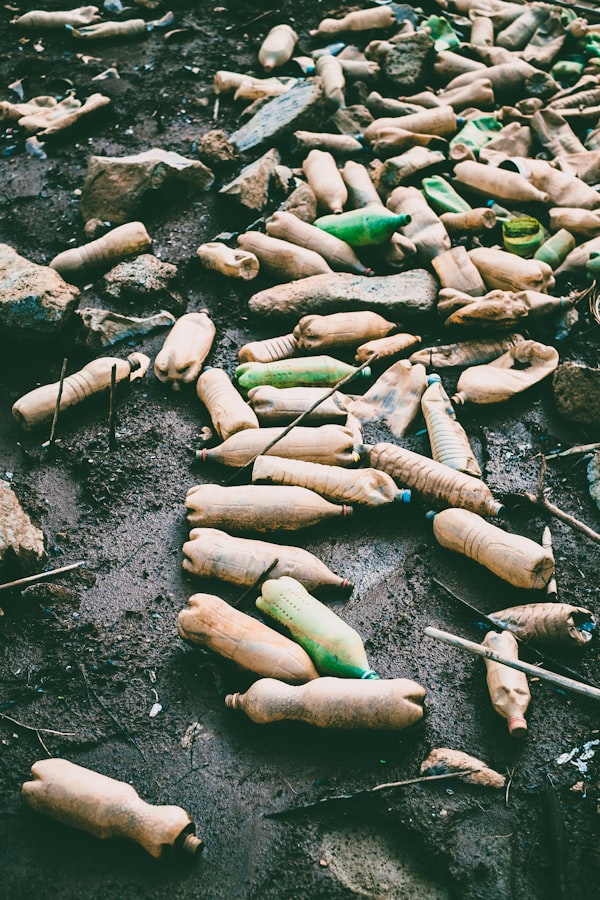 Single-use Plastics and Poverty