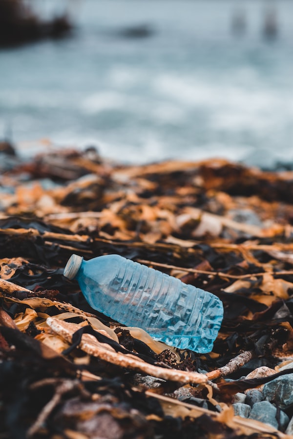 Plastic waste; Issues and solutions; Environmental pollution