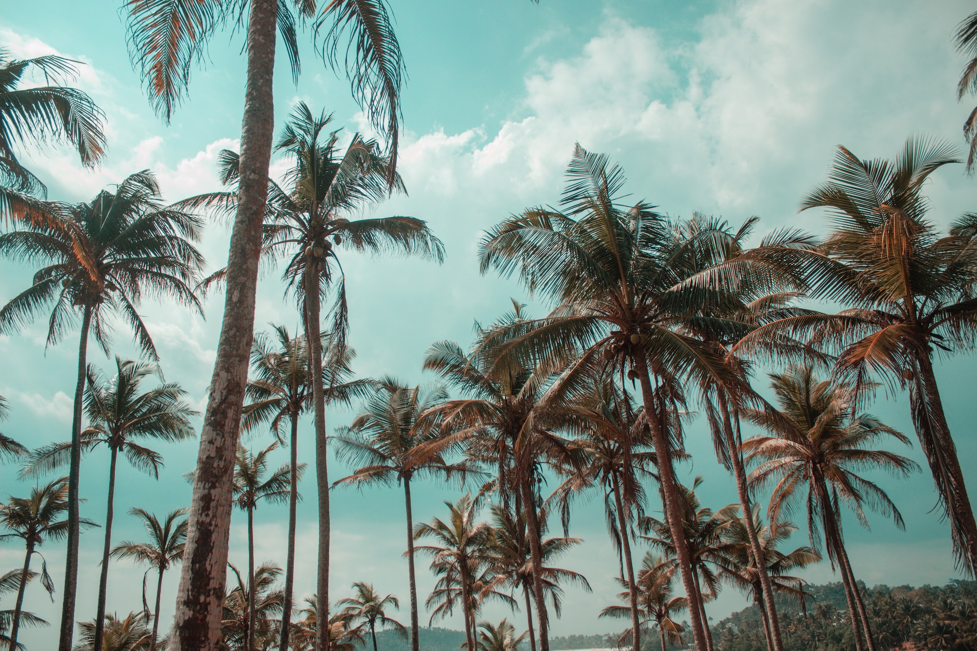 Sri Lanka: The Pearl of the Indian Ocean - Uncover Its Tourist Paradises