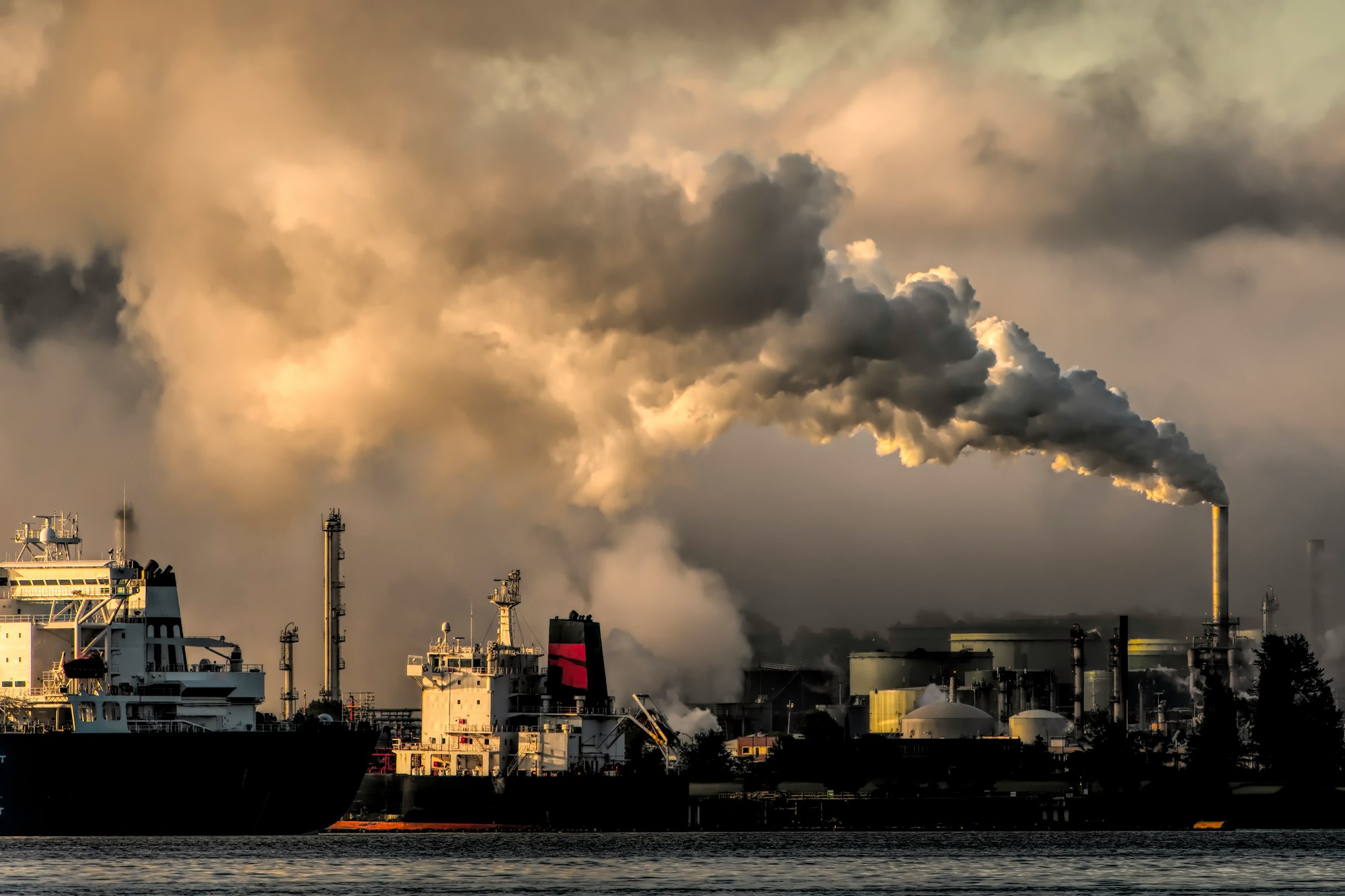 Air Pollution in the World; Air Pollutants and Effects