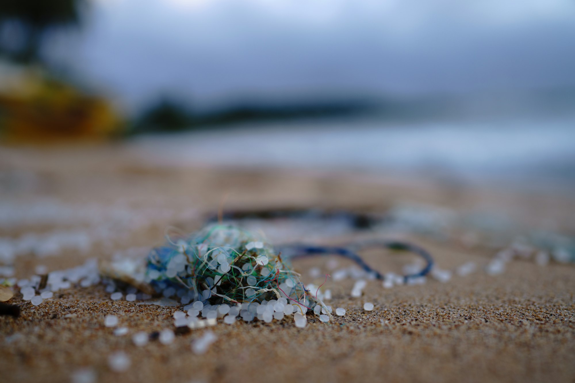 Microplastics; What are Microplastics and what kind of danger do they bring?